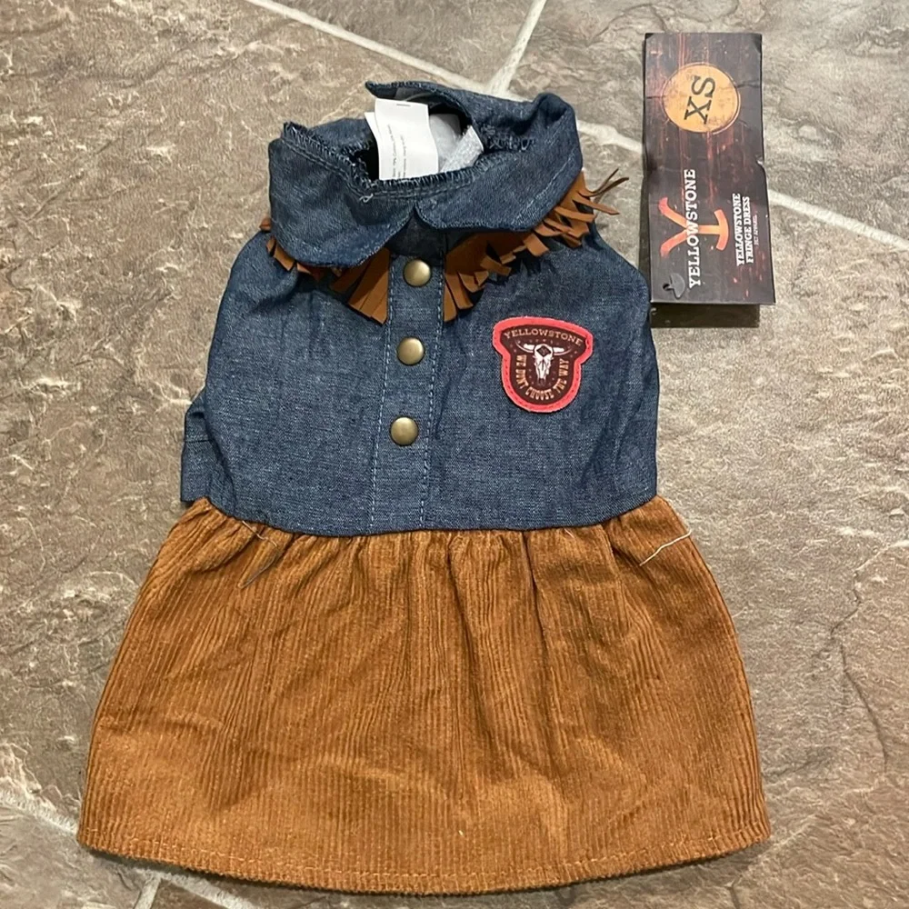 Yellowstone Fringe Dress (XS)
